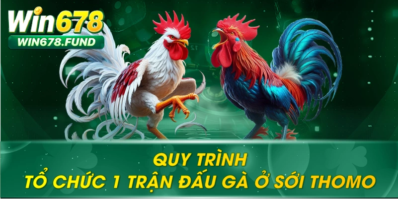 Quy Mô Tổ Chức Chuyên Nghiệp
